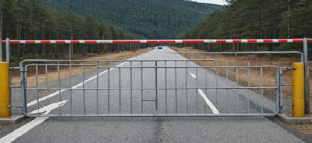 Тарифные квоты ЕАЭС