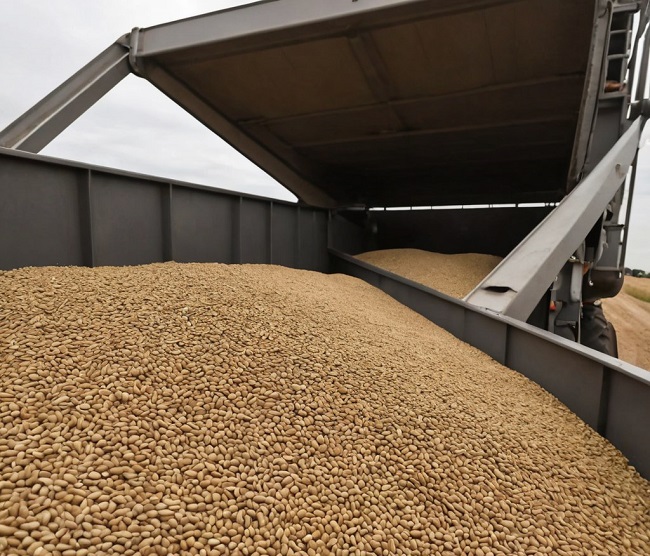 Количественные ограничения, экспортные и импортные квоты на сельскохозяйственную продукцию