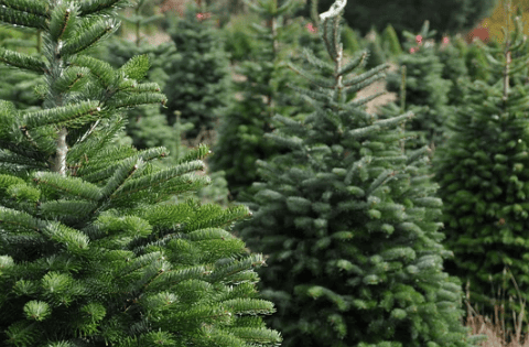 Your Top 11 Questions about Expedited Freight Services Answered ASAP - Inbound Logistics