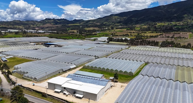 14 шагов к резкому росту спроса