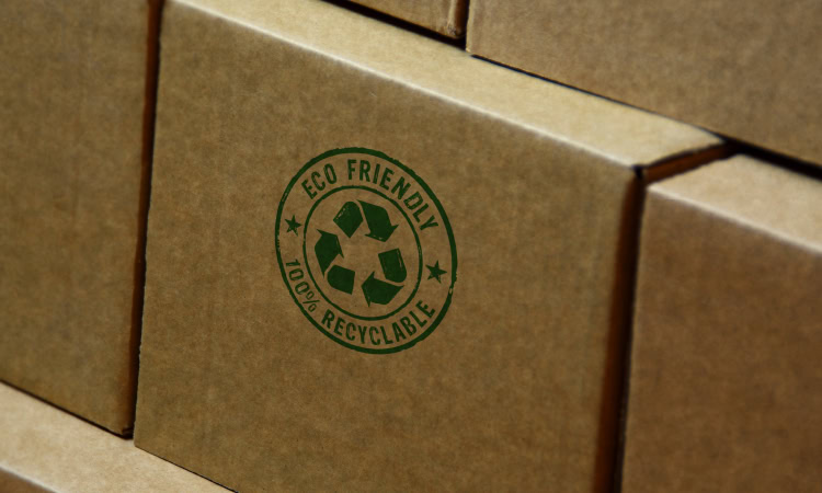 5 ключевых шагов к циклической цепочке поставок