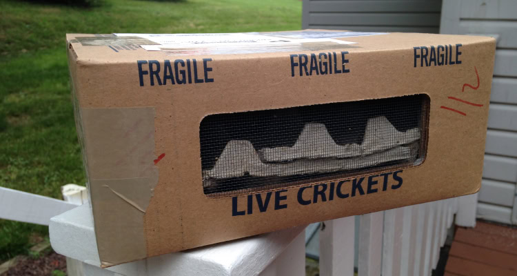 Beyond the Rack: Retail Supply Chain Strategies That Work - Inbound Logistics