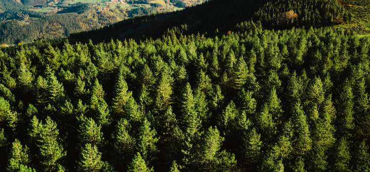 Circular Supply Chains Go Round and Round - Inbound Logistics