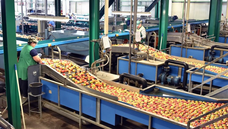 прозрачная цепочка поставок