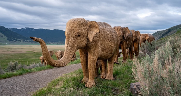 3PL помогают грузоотправителям синхронизироваться