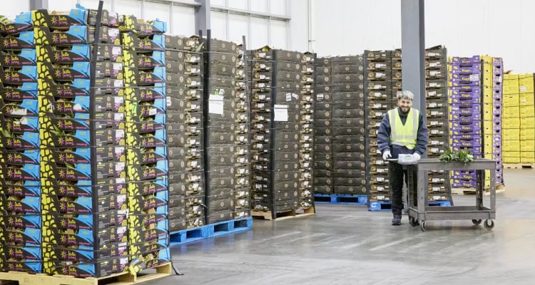 Innovation Reinvents Cold Chain Logistics