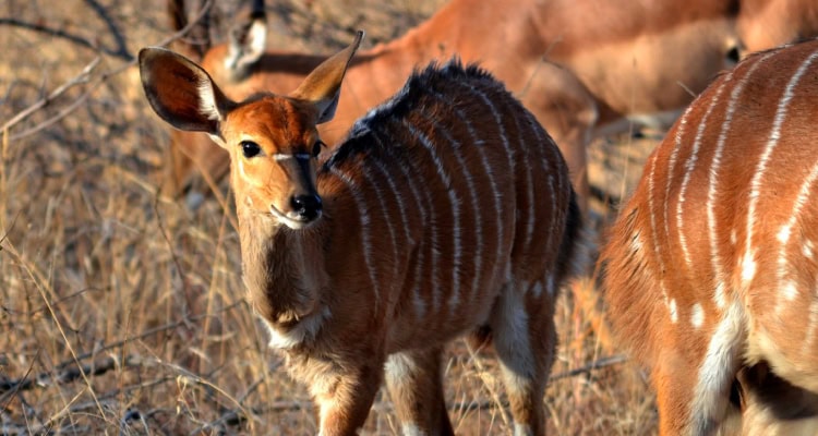 Specialized Transportation Logistics: A Guide to Unique Freight Shipping