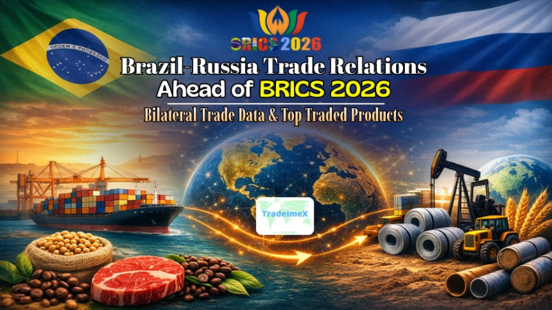 Brazil-Russia Trade Relations Ahead of BRICS 2026: