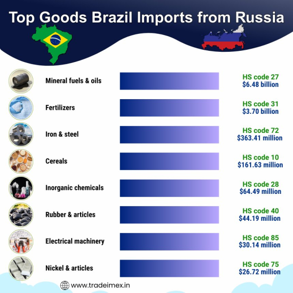 Brazil-Russia Trade Relations Ahead of BRICS 2026: