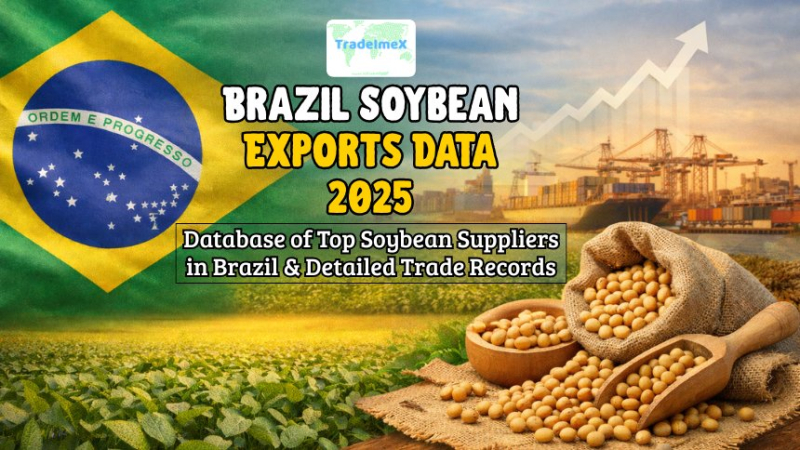 Brazil Soybean Exports Data 2025: Database of