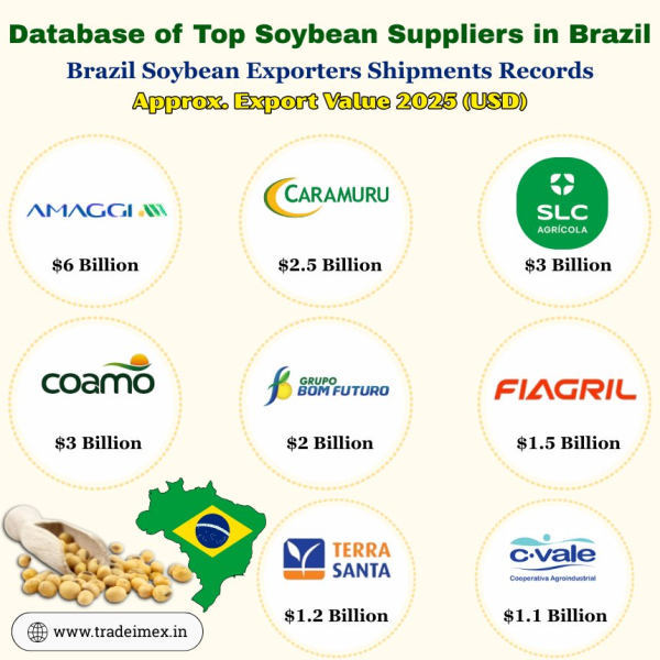 Brazil Soybean Exports Data 2025: Database of