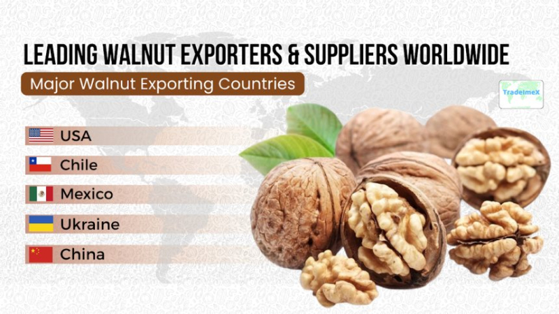 Leading Walnut Exporters &Suppliers Worldwide |
