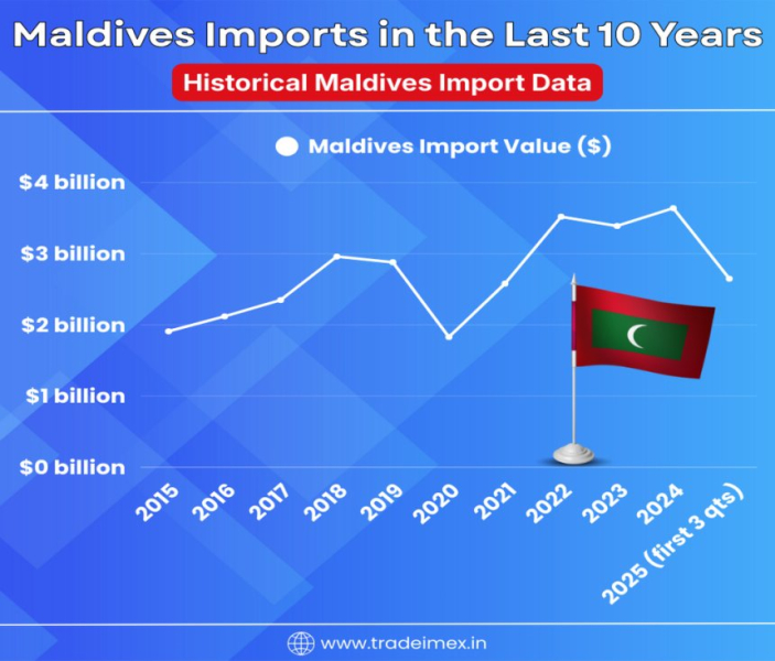 Maldives Import Data Trends Uncovered: A Deep