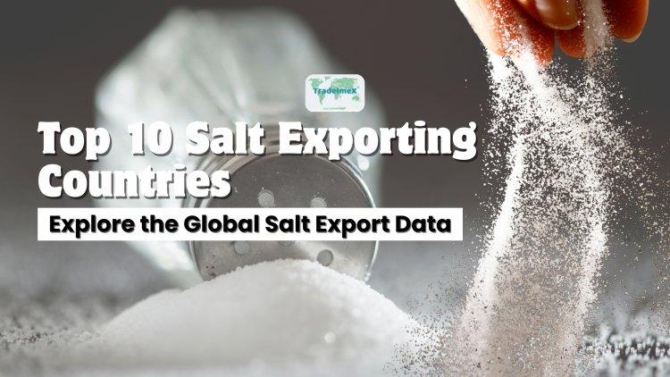 10 крупнейших стран-экспортеров соли
