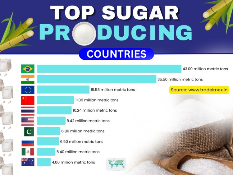 Top 10 Sugar Producing Countries: Explore the