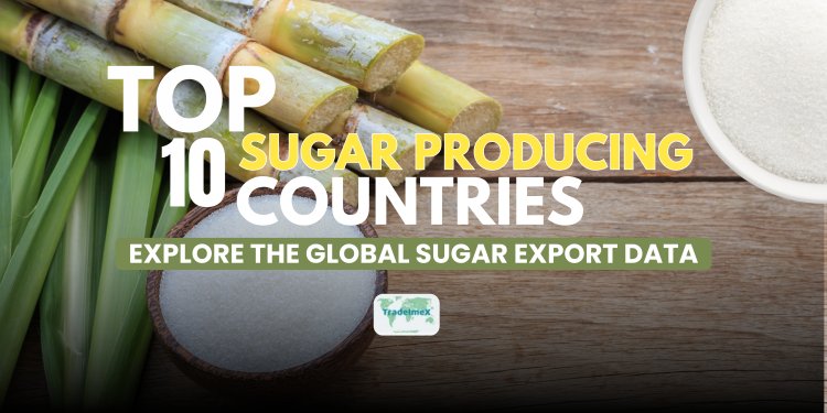 Top 10 Sugar Producing Countries: Explore the