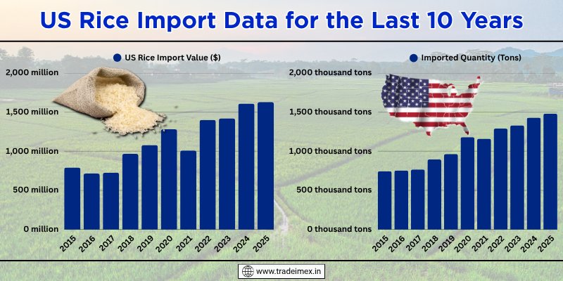 US Rice Imports Data 2025: Latest USA