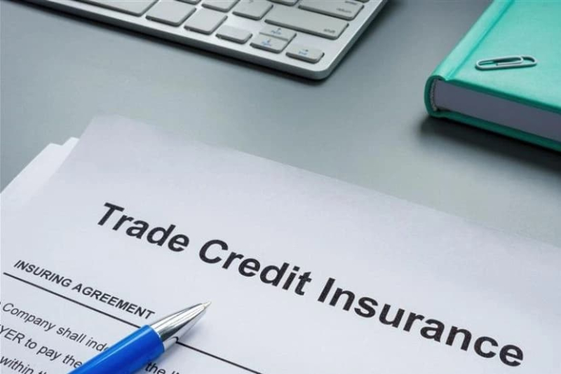 Everything Businesses Need to Know About Trade