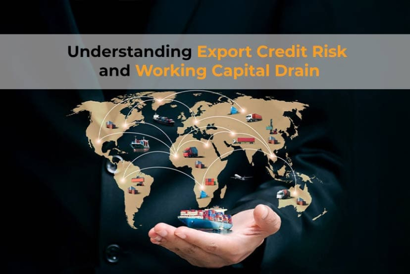 Understanding Export Credit Risk and Working Capital