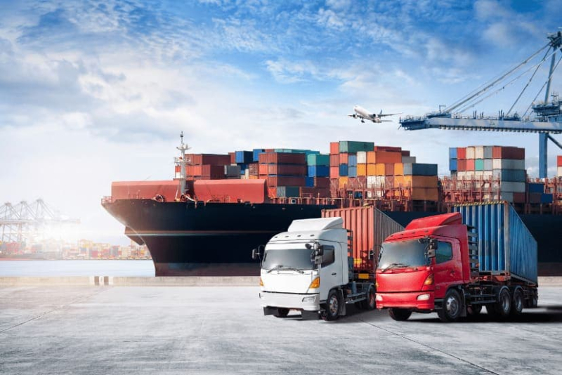 What is ICEGATE and How Does it