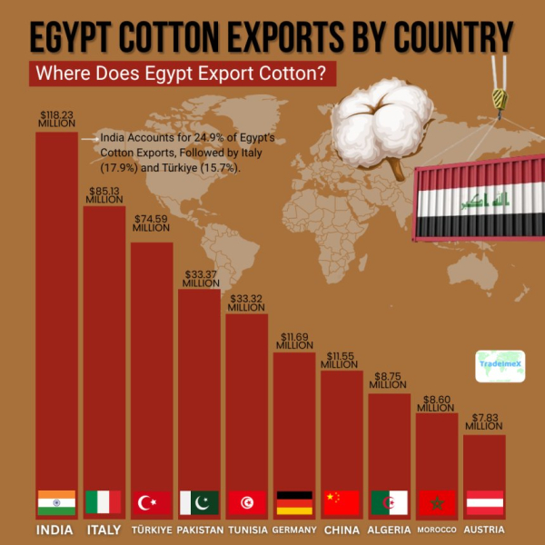 Egypt Cotton Exports 2024-25: Egypt Cotton Exports
