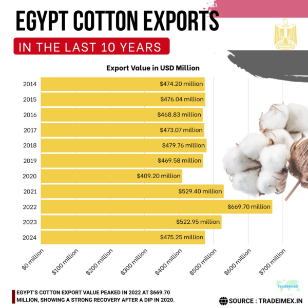 Egypt Cotton Exports 2024-25: Egypt Cotton Exports