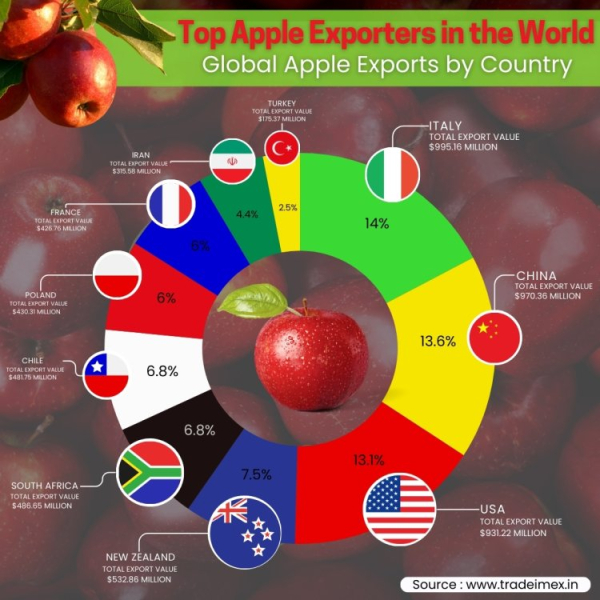 Top 10 Apple Exporter Countries in 2024: