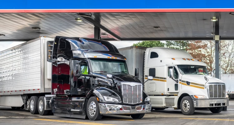 3PLs Slam Volatility: 9 Ways Providers Build Supply Chain Resilience