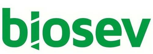 List of 4000+ Brazilian Sugar Suppliers and