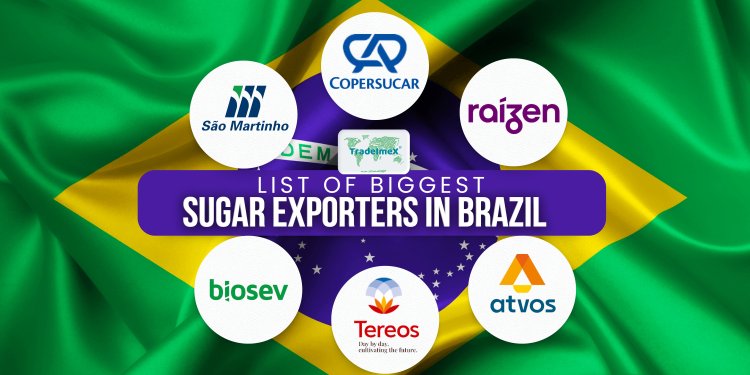 List of 4000+ Brazilian Sugar Suppliers and