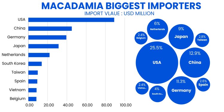 Macadamia Biggest Importers At The Global Level