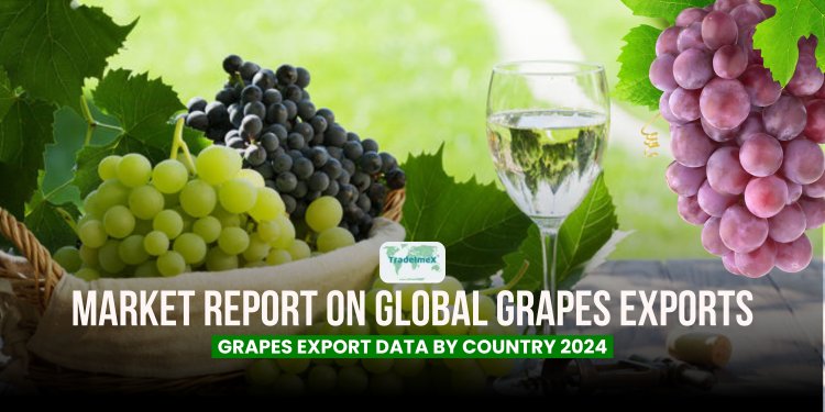 Top Grapes Exporters &Suppliers Database |
