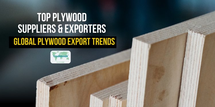 Top Plywood Suppliers & Exporters: Global Plywood