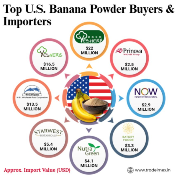 US Banana Powder Import Data: Top Banana