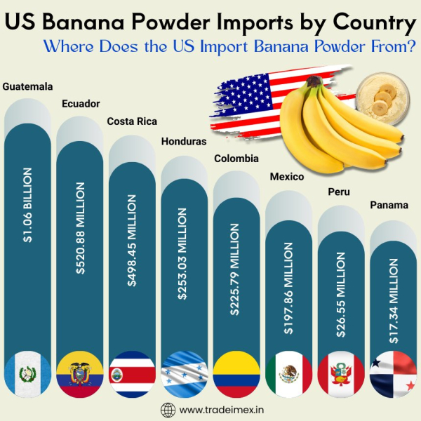 US Banana Powder Import Data: Top Banana