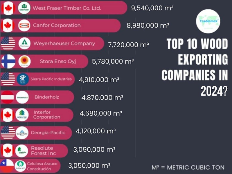 Top 10 Wood Exporting Countries of 2024-25