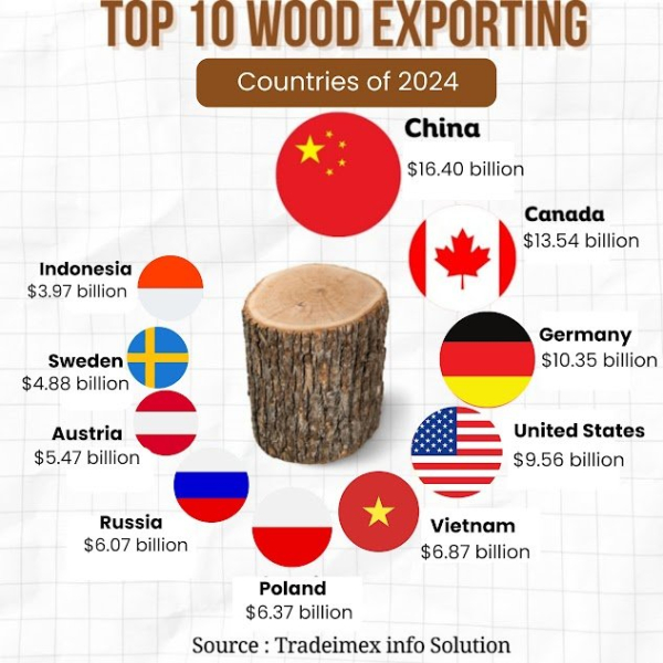 Top 10 Wood Exporting Countries of 2024-25